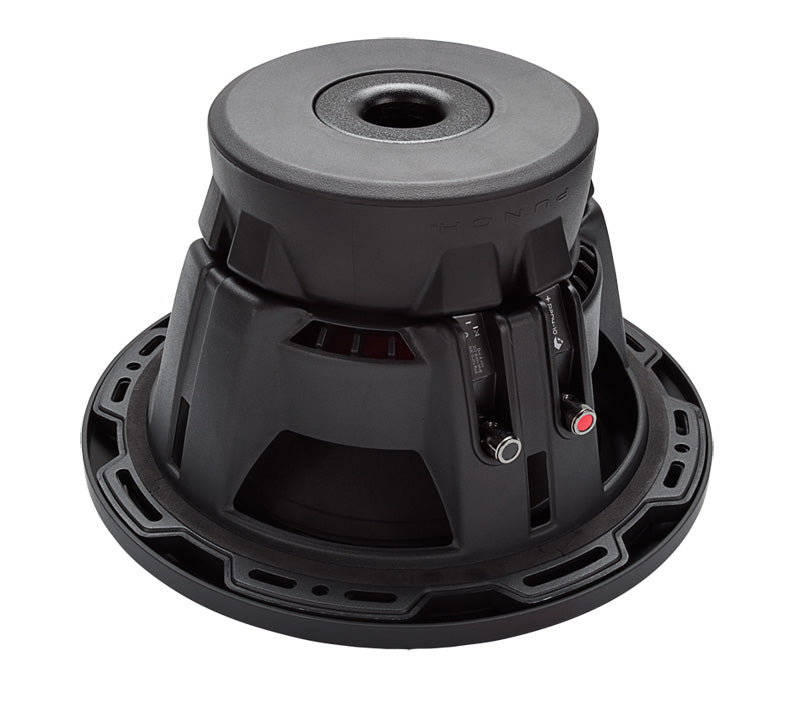 Rockford Fosgate - P2D2-10 Punch 10 inch Dual 2 Ohm Subwoofer 300W RMS